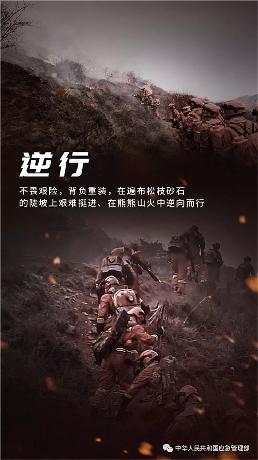 致敬！在水与火中淬炼钢铁意志的森林消防员！