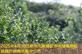 2025年6月18日泉州市泉港区专项储备粮轮换竞价销售交易会公告