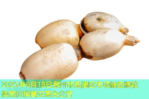 2025年6月18日泉州市泉港区专项储备粮轮换竞价销售交易会公告