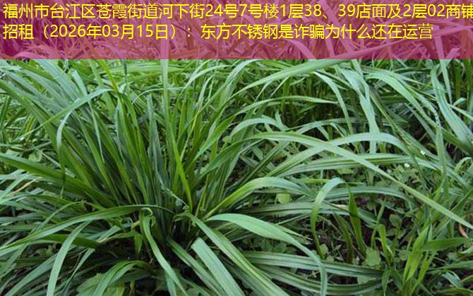 福州市台江区苍霞街道河下街24号7号楼1层38、39店面及2层02商铺招租（2026年03月15日）：东方不锈钢是诈骗为什么还在运营