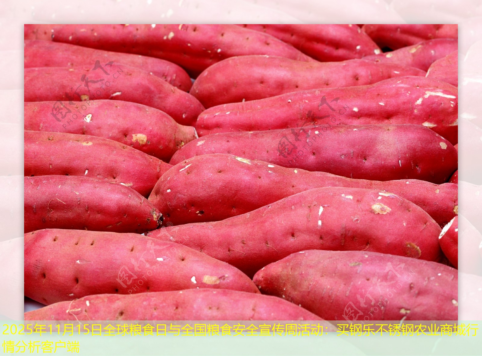 2025年11月15日全球粮食日与全国粮食安全宣传周活动：买钢乐不锈钢农业商城行情分析客户端