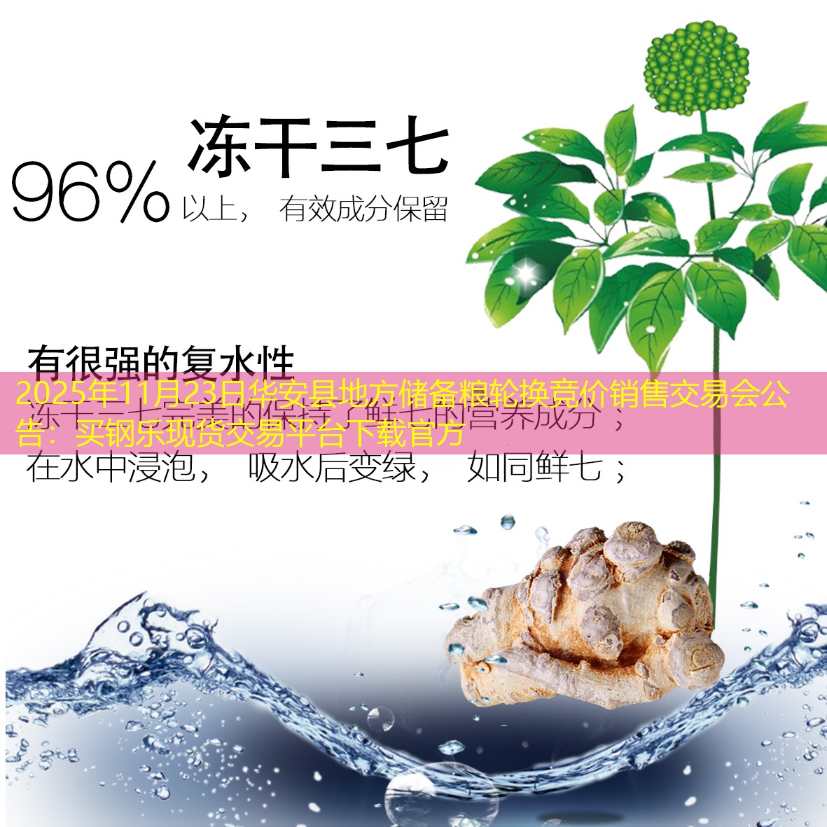 2025年11月23日华安县地方储备粮轮换竞价销售交易会公告：买钢乐现货交易平台下载官方