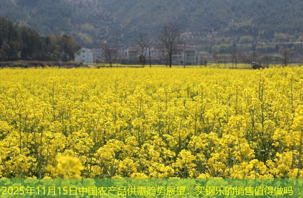 2025年11月15日中国农产品供需趋势展望：买钢乐的销售值得做吗