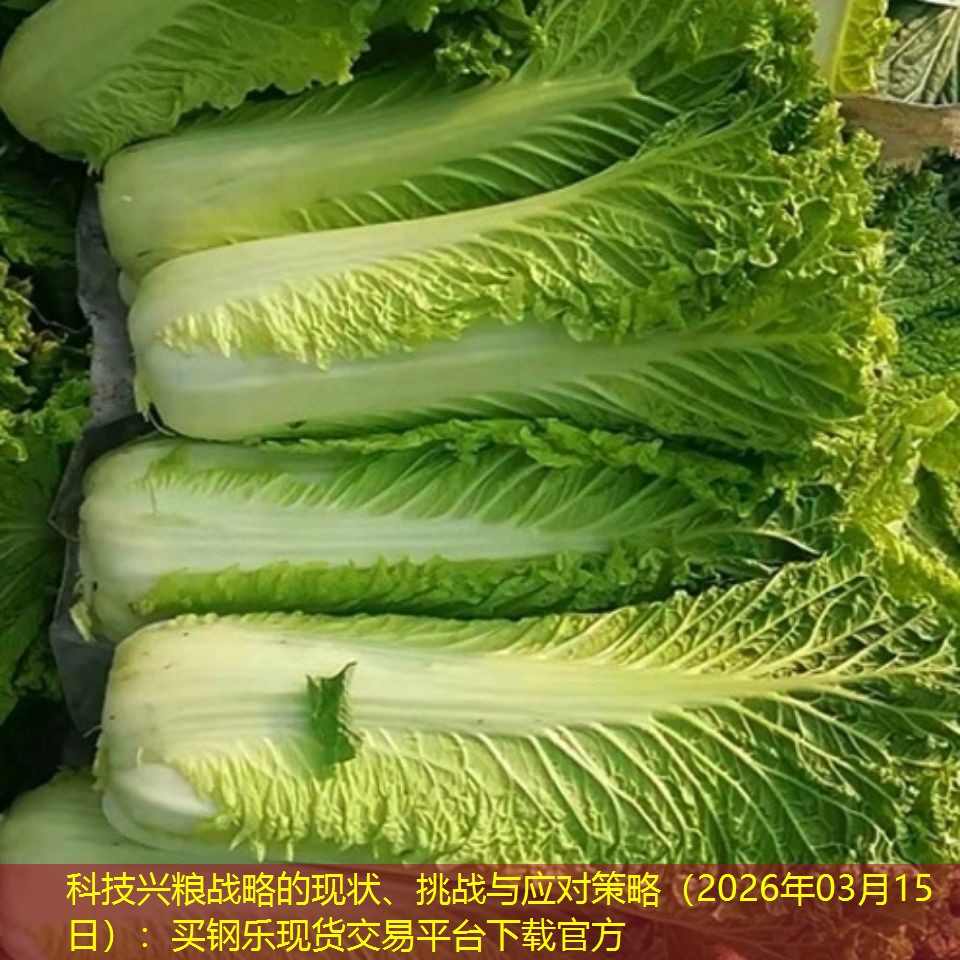 科技兴粮战略的现状、挑战与应对策略（2026年03月15日）：买钢乐现货交易平台下载官方