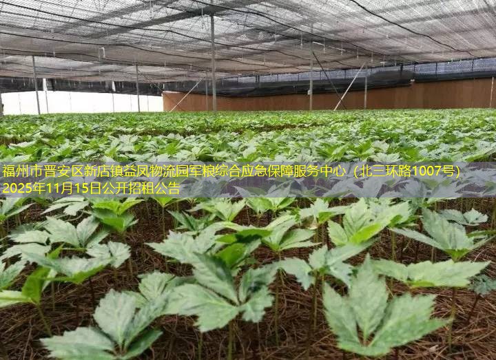 福州市晋安区新店镇益凤物流园军粮综合应急保障服务中心（北三环路1007号）2025年11月15日公开招租公告