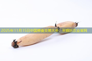 2025年11月15日中国粮食交易大会：买钢乐农业官网