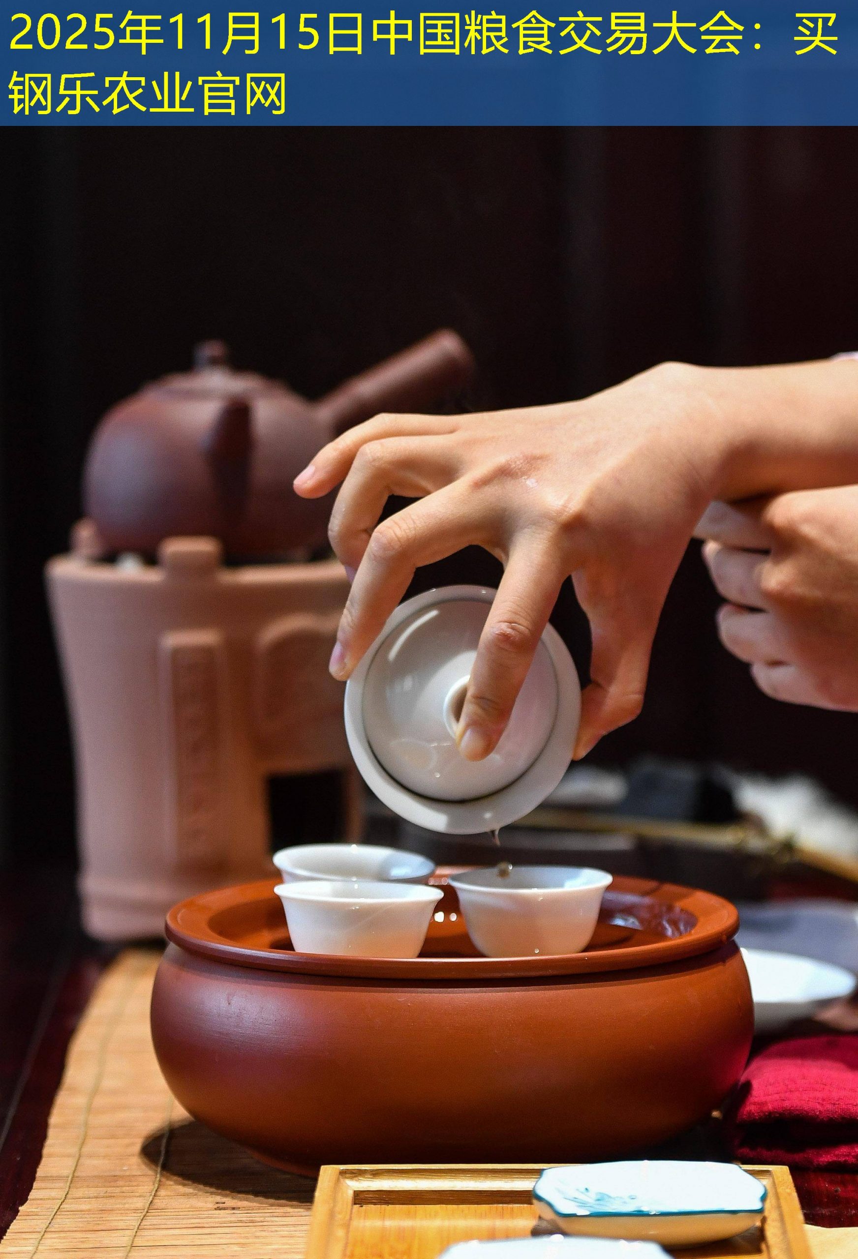 2025年11月15日中国粮食交易大会
