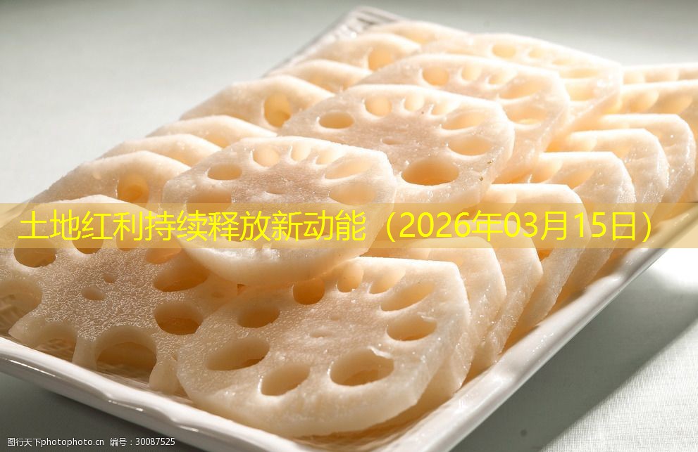土地红利持续释放新动能（2026年03月15日）
