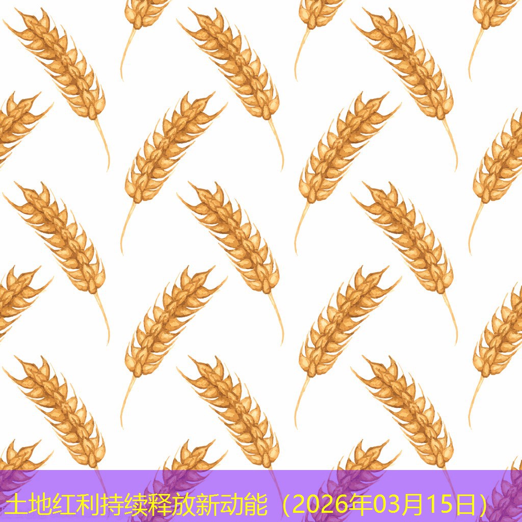 土地红利持续释放新动能（2026年03月15日）