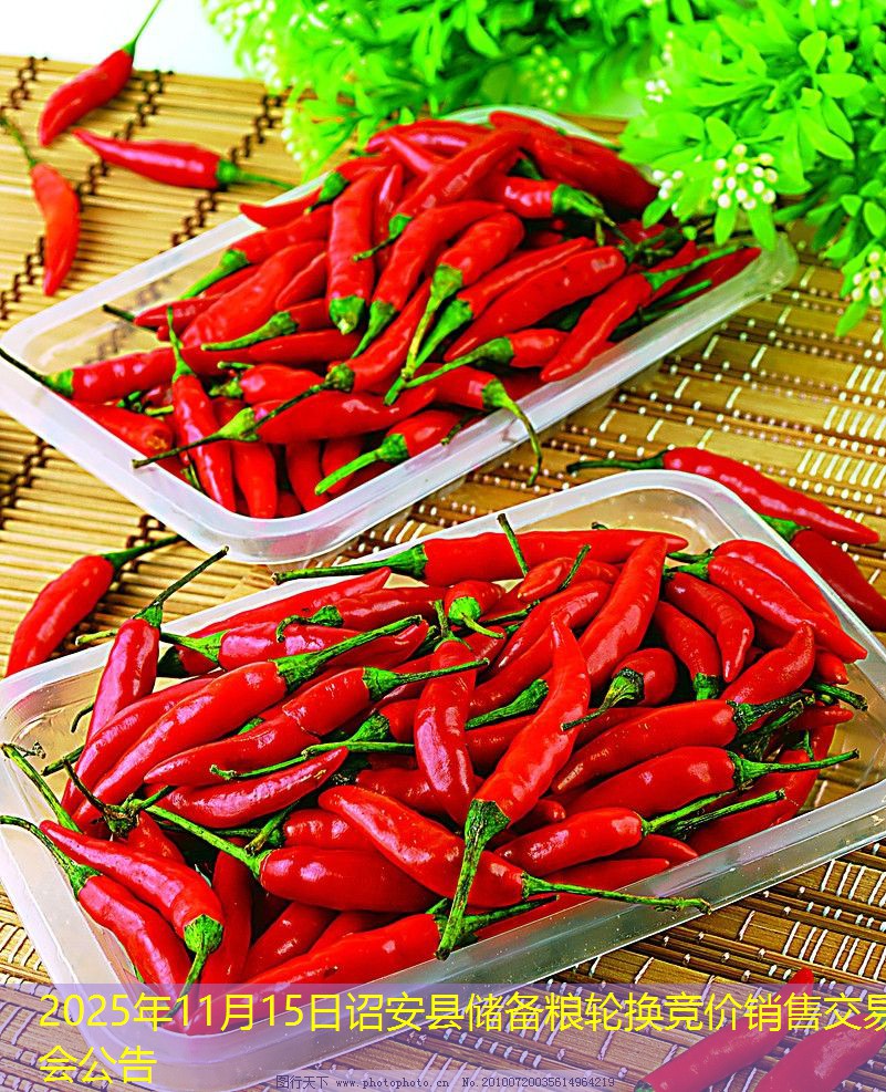 2025年11月15日诏安县储备粮轮换竞价销售交易会公告