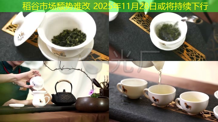 稻谷市场颓势难改 2025年11月28日或将持续下行