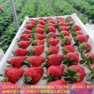 2025年10月23日最低收购价稻谷（2013年、2014年）竞价销售交易公告：买钢乐不锈钢现货交易正规吗