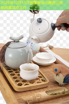2025年12月15日我国将深化推进三块地改革试点工作