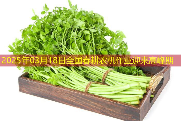 2025年03月18日全国春耕农机作业迎来高峰期