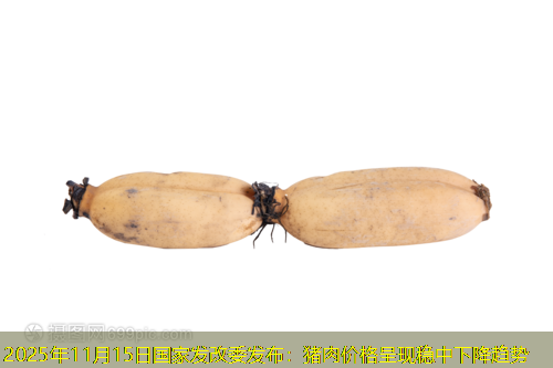 2025年11月15日国家发改委发布：猪肉价格呈现稳中下降趋势