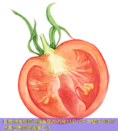 国家粮食和物资储备局2025年11月18日专题研究防汛抗旱应急物资保障工作