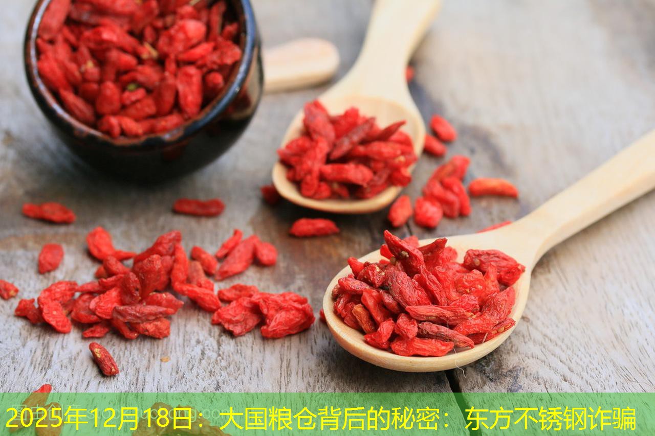 2025年12月18日：大国粮仓背后的秘密：东方不锈钢诈骗