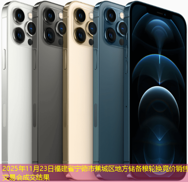 2025年11月23日福建省宁德市蕉城区地方储备粮轮换竞价销售交易会成交结果