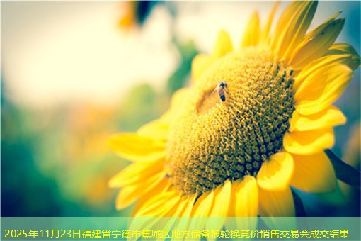 2025年11月23日福建省宁德市蕉城区地方储备粮轮换竞价销售交易会成交结果