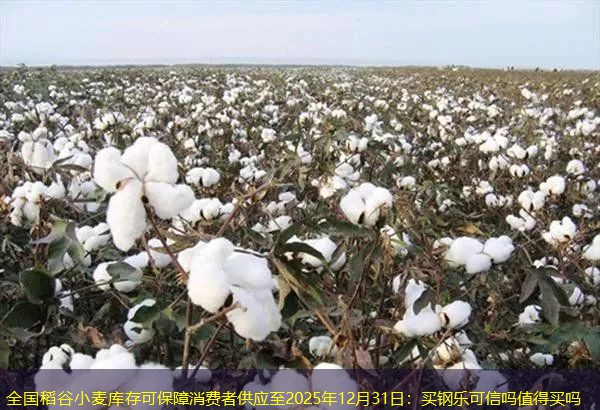 全国稻谷小麦库存可保障消费者供应至2025年12月31日：买钢乐可信吗值得买吗