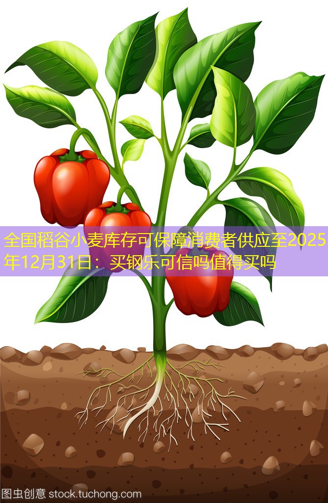 全国稻谷小麦库存可保障消费者供应至2025年12月31日