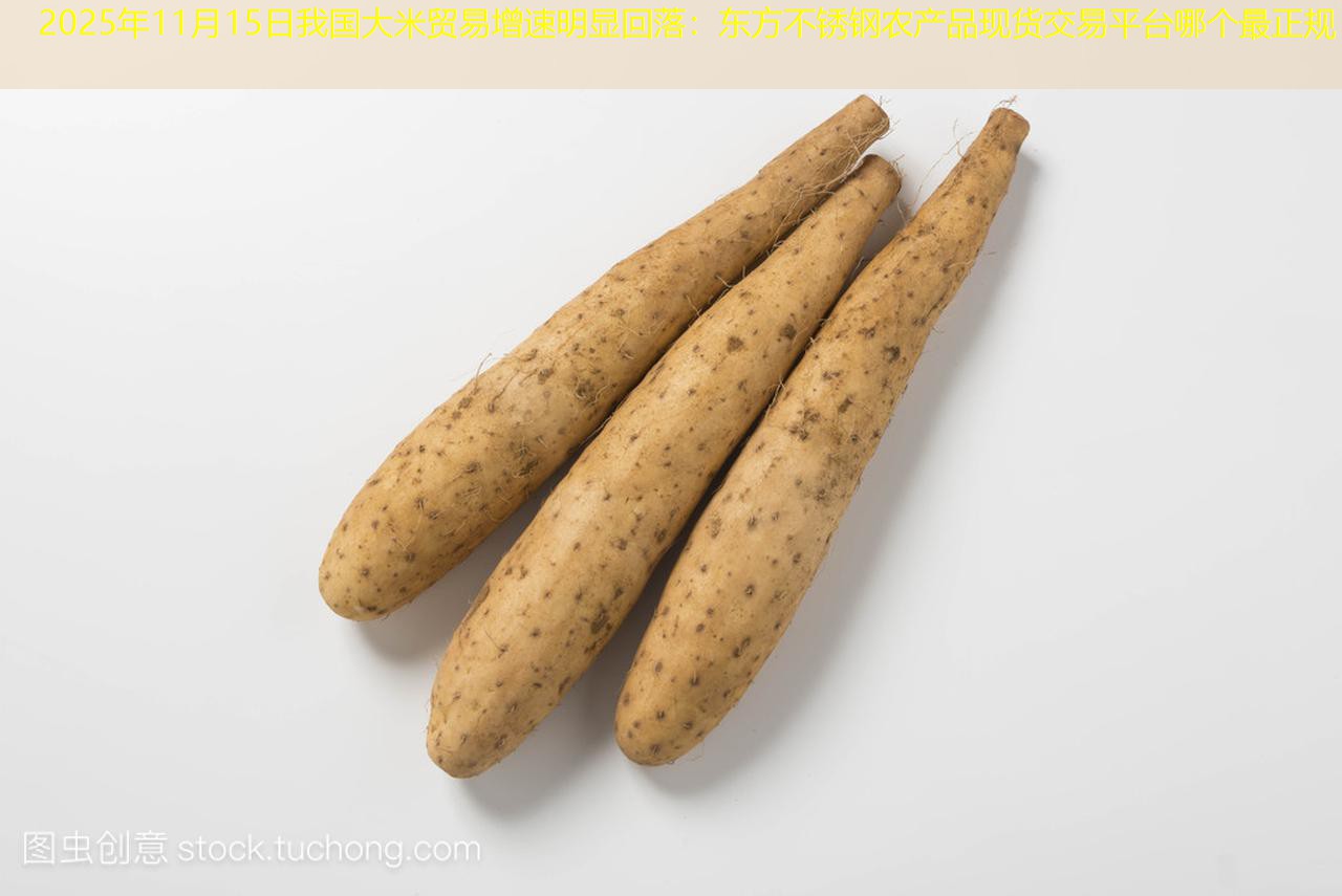 2025年11月15日我国大米贸易增速明显回落