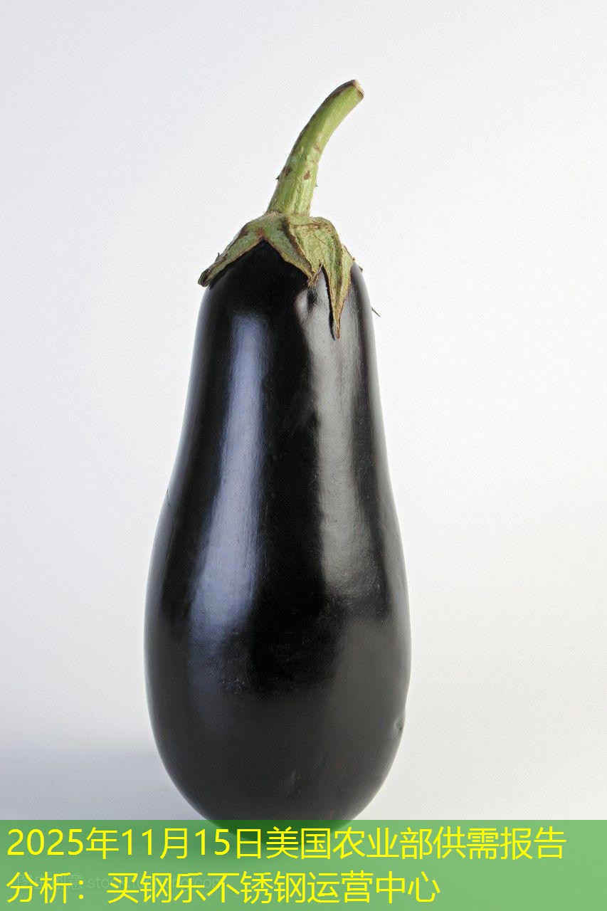 2025年11月15日美国农业部供需报告分析：买钢乐不锈钢运营中心