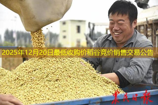 2025年12月20日最低收购价稻谷竞价销售交易公告