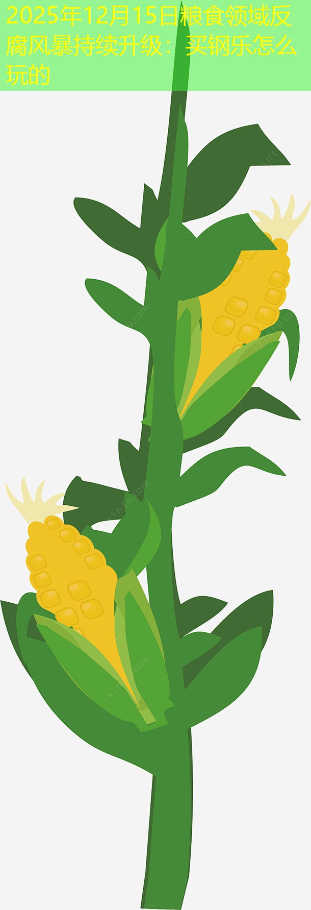 2025年12月15日粮食领域反腐风暴持续升级：买钢乐怎么玩的