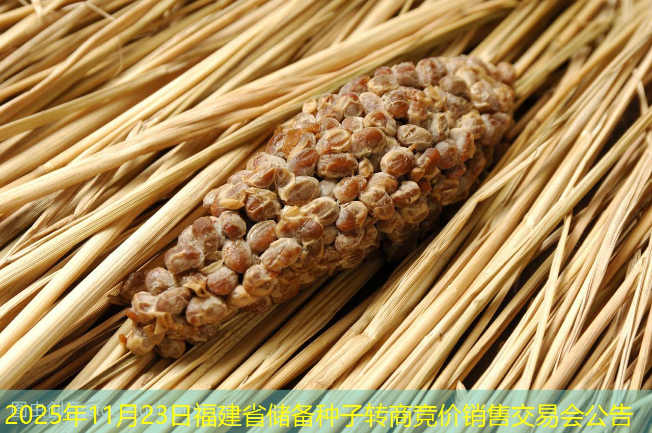 2025年11月23日福建省储备种子转商竞价销售交易会公告