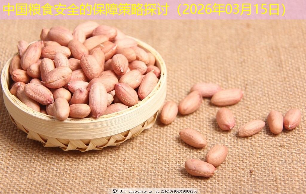中国粮食安全的保障策略探讨（2026年03月15日）