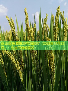 仓山区程厝路20号2座807（2025年11月23日）：东方不锈钢贵农