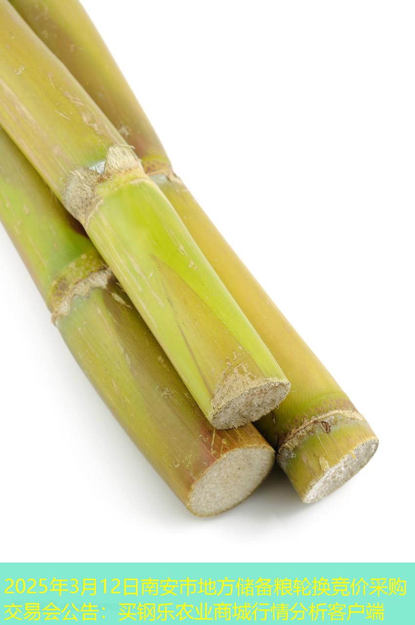 2025年3月12日南安市地方储备粮轮换竞价采购交易会公告