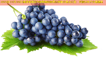 2025年11月18日福建省建瓯市储备粮轮换竞价销售交易会公告：买钢乐电子交易骗局