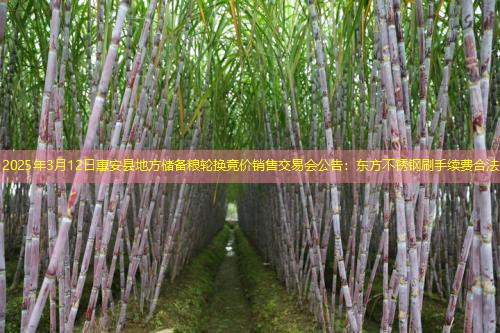 2025年3月12日惠安县地方储备粮轮换竞价销售交易会公告：东方不锈钢刷手续费合法