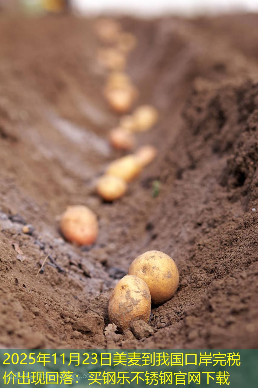 2025年11月23日美麦到我国口岸完税价出现回落：买钢乐不锈钢官网下载