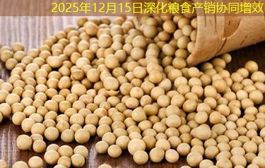 2025年12月15日深化粮食产销协同增效