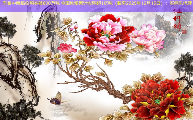 五省中晚稻收购突破800万吨 全国秋粮累计收购超1亿吨（截至2025年12月15日）：买钢乐代理