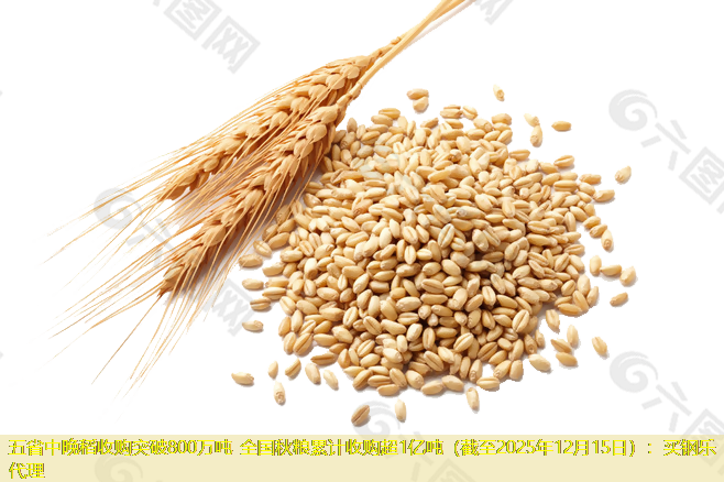 五省中晚稻收购突破800万吨 全国秋粮累计收购超1亿吨（截至2025年12月15日）