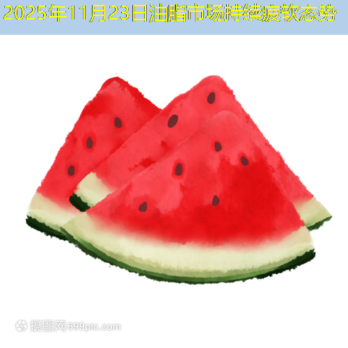 2025年11月23日油脂市场持续疲软态势