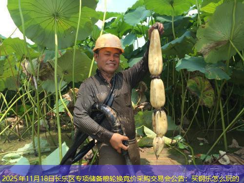 2025年11月18日长乐区专项储备粮轮换竞价采购交易会公告
