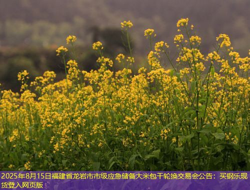 2025年8月15日福建省龙岩市市级应急储备大米包干轮换交易会公告：买钢乐现货登入网页版