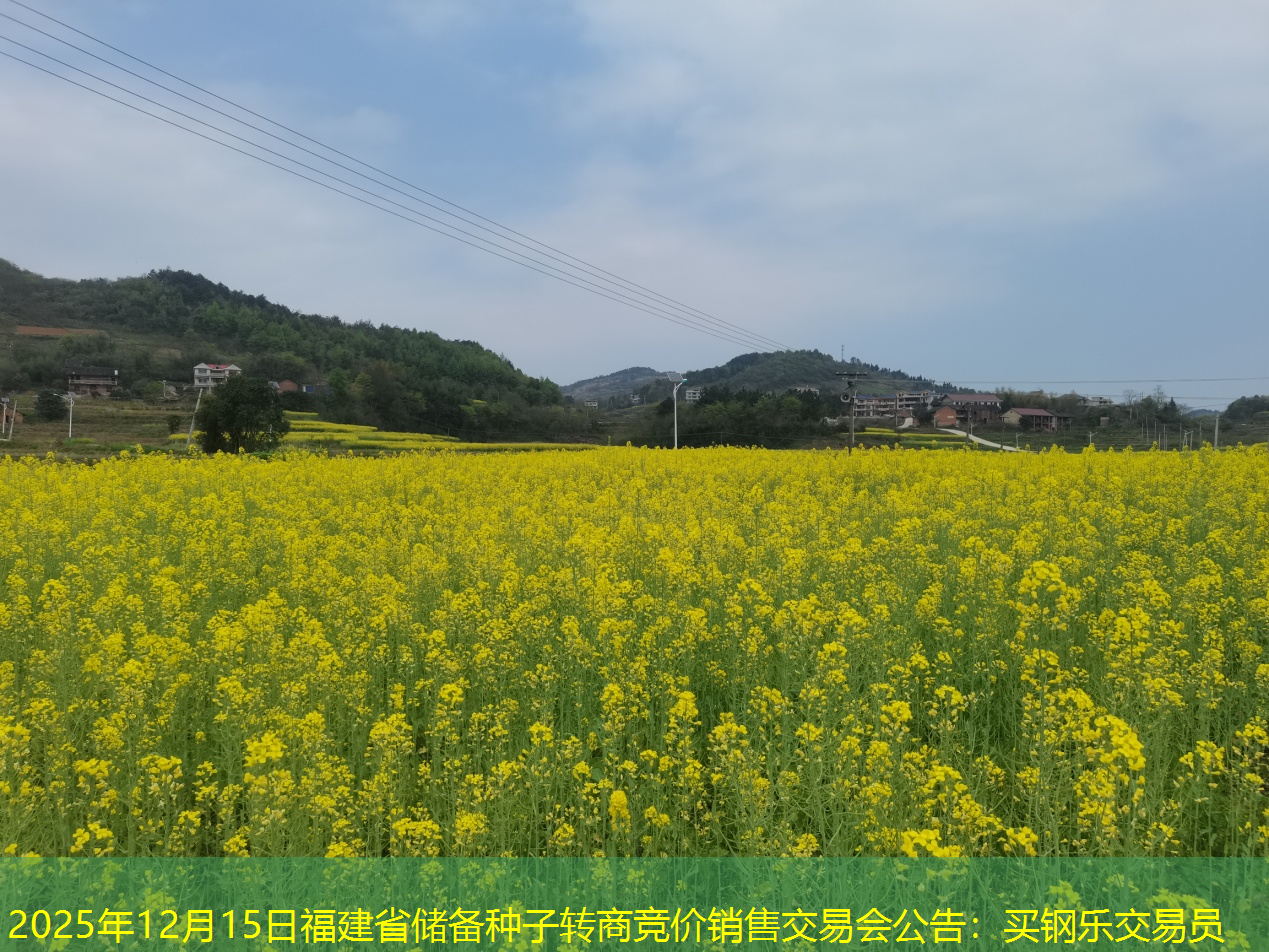 2025年12月15日福建省储备种子转商竞价销售交易会公告：买钢乐交易员