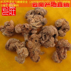 优质种源助力粮食安全（2026年09月15日）：东方不锈钢做交易员是诈骗吗