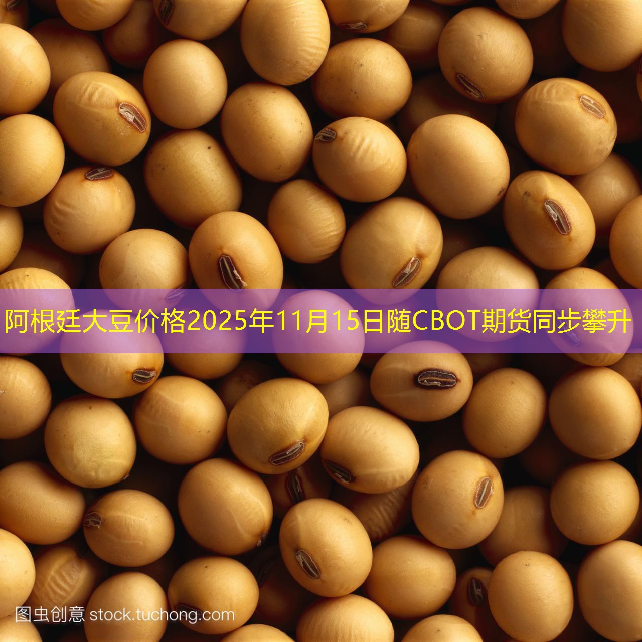 阿根廷大豆价格2025年11月15日随CBOT期货同步攀升