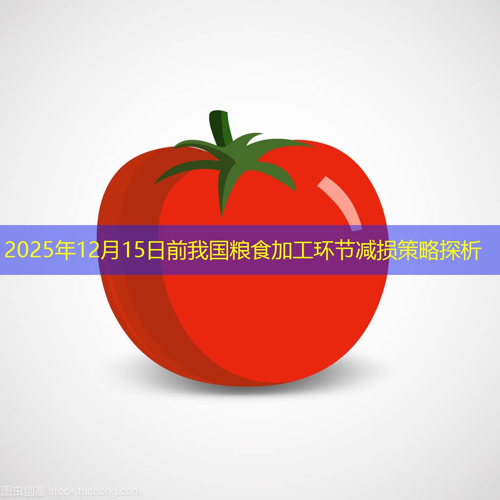 2025年12月15日前我国粮食加工环节减损策略探析
