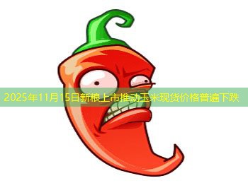 2025年11月15日新粮上市推动玉米现货价格普遍下跌