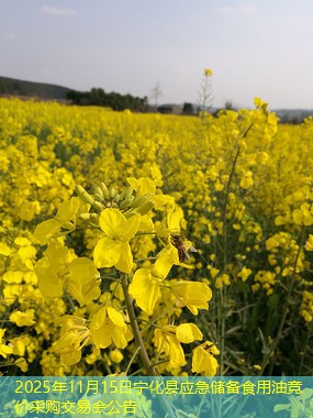 2025年11月15日宁化县应急储备食用油竞价采购交易会公告