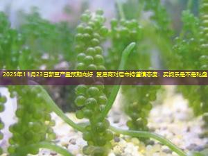 2025年11月23日新豆产量预期向好 贸易商对后市持谨慎态度：买钢乐是不是私盘