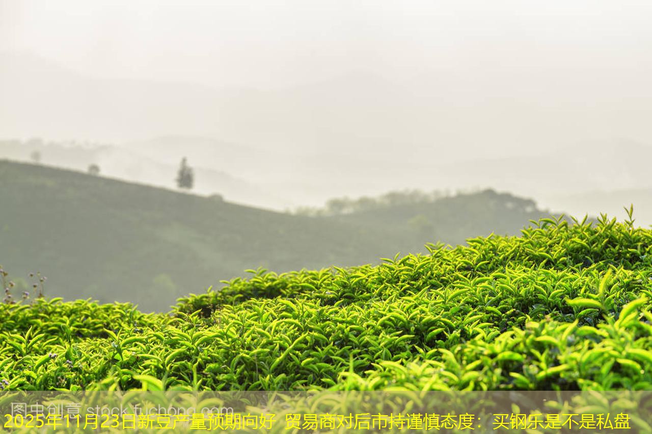 2025年11月23日新豆产量预期向好 贸易商对后市持谨慎态度